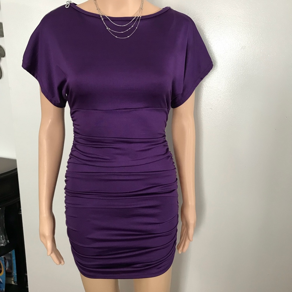 Eggplant Color Zipped Sleeves Dress In S